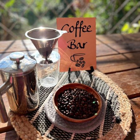 Adella'S Blue Mountain Coffee Farmstay Kingston Exterior foto