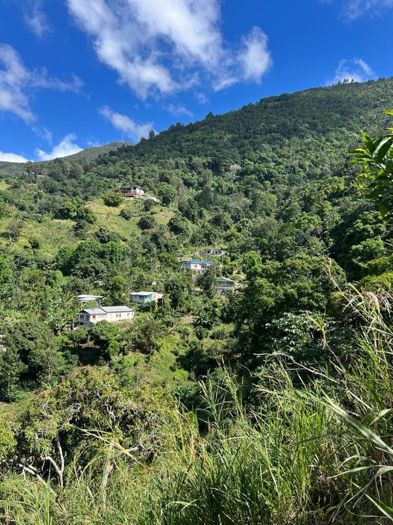 Adella'S Blue Mountain Coffee Farmstay Kingston Exterior foto